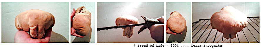 BREAD-Of-Life_2004_Terra Incognita - Theotime.G Cisse.jpg